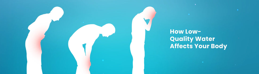 How Low-Quality Water Affects Your Body