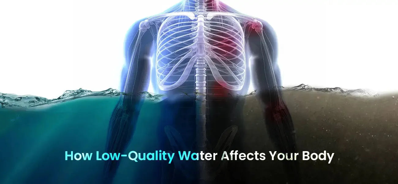 How Low-Quality Water Affects Your Body