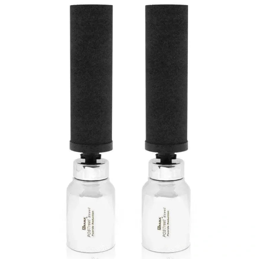RAMA POSTreat steel Fluoride Reduction Filter, Removes > 95% of Fluoride from Your Drinking Water, Suitable for RAMA Gravity Water Filters (Pack of 2)